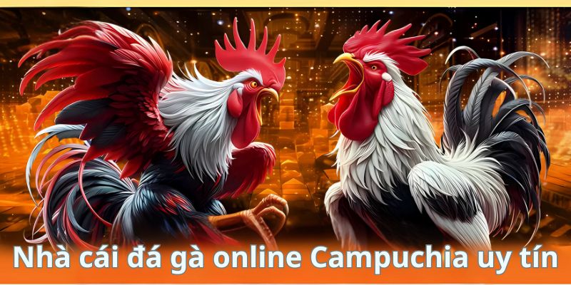 Nhà Cái Đá Gà Online Campuchia Uy Tín Chọn Lựa Tốt Nhất