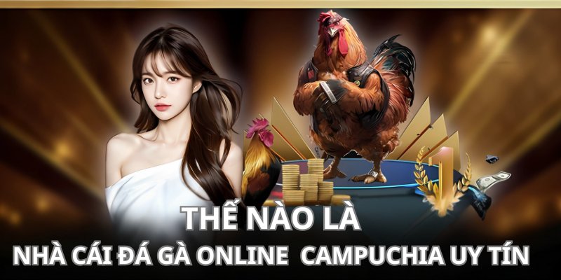 Nhà cái đá gà online Campuchia uy tín là thế nào?