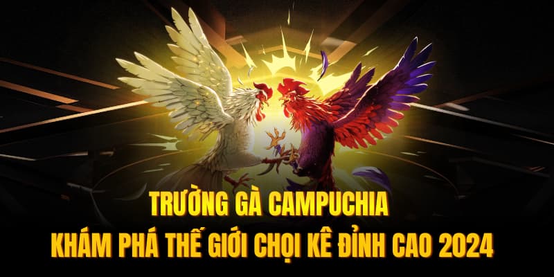 Trường Gà Campuchia, Khám Phá Thế Giới Chọi Kê Đỉnh Cao 2024